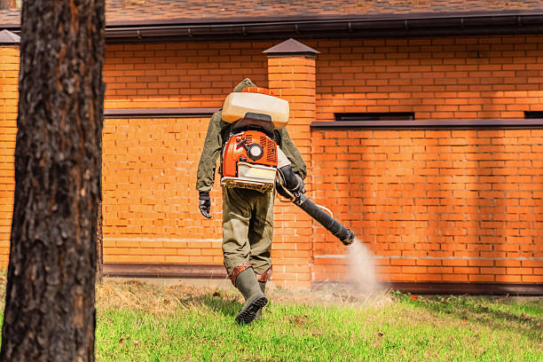 Bed Bug Clearance Verification and Documentation in Edgeworth